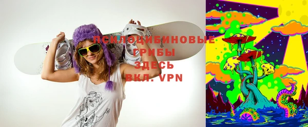прущая мука Верея
