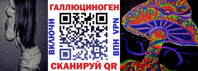 blacksprut зеркало  Тула  Галлюциногенные грибы Psilocybe 